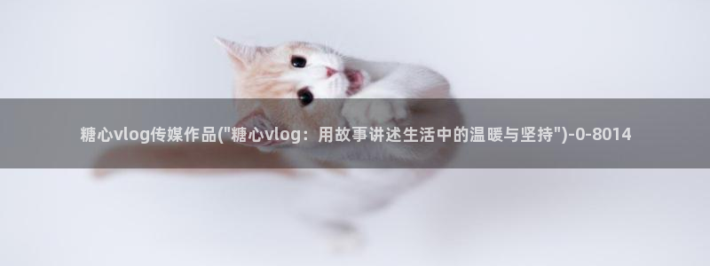 糖心vlog柚子猫内射频网站：糖心vlog传媒作品(\