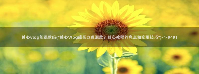 糖心vlog主演名字：糖心vlog能退款吗(\