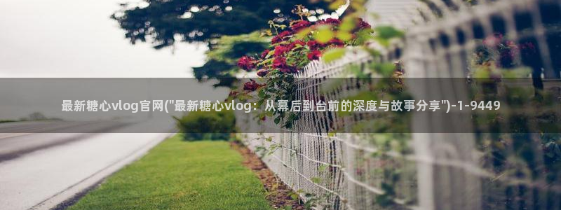 糖心vlog潘甜甜：最新糖心vlog官网(\
