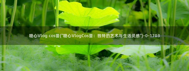 糖心vlog没有线路：糖心Vlog cos蕾(\